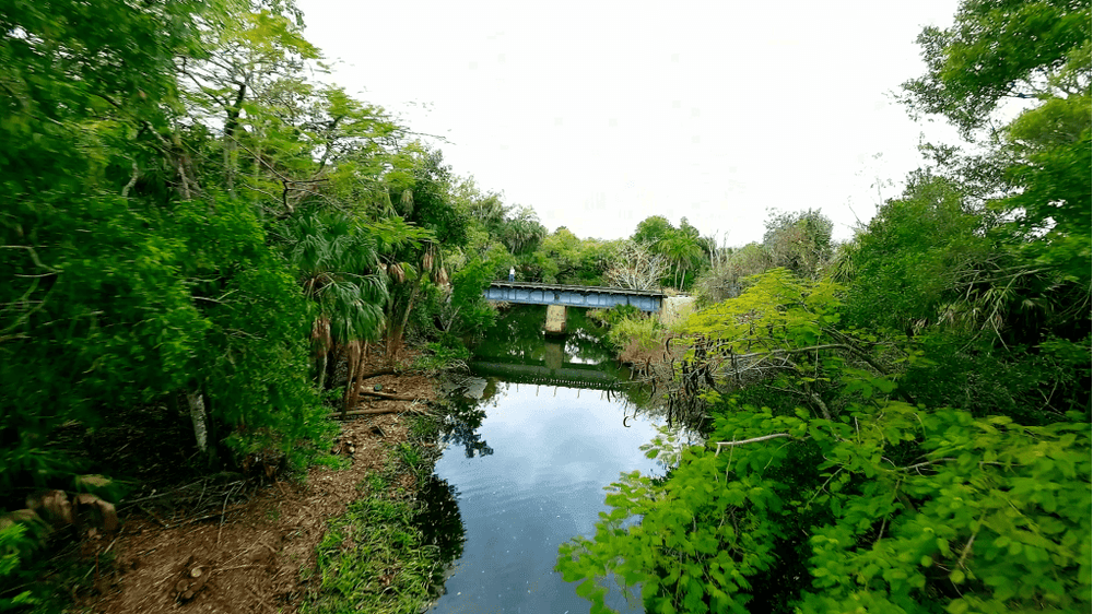 Something Exciting Is Coming to Bonita Springs: Meet BERT, the Rail Trail You'll Want to Bookmark photo 4