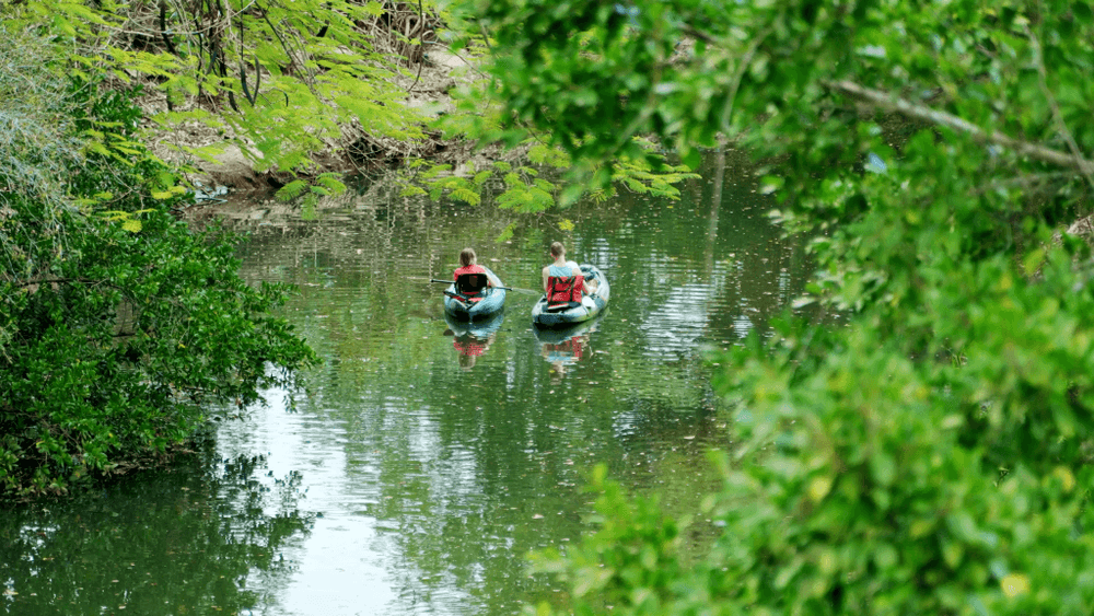 Something Exciting Is Coming to Bonita Springs: Meet BERT, the Rail Trail You'll Want to Bookmark photo 2