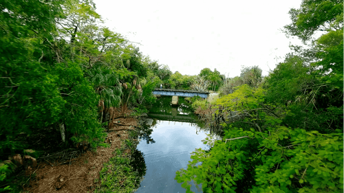 Something Exciting Is Coming to Bonita Springs: Meet BERT, the Rail Trail You'll Want to Bookmark photo 4